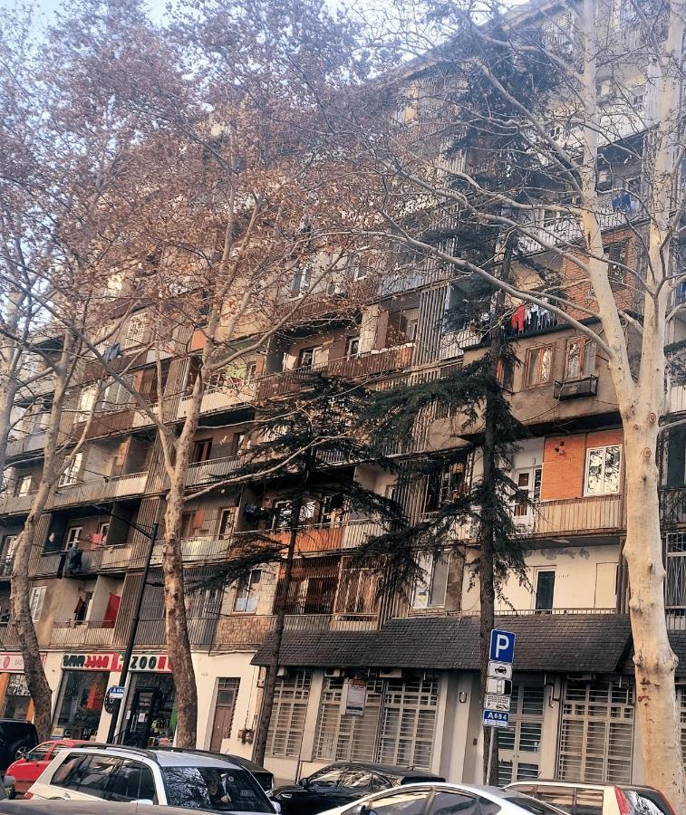 Apartment "B" With A Separate Bedroom Tbilisi Zewnętrze zdjęcie